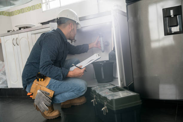  Almont, MI Plumbing Pros