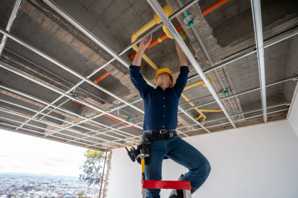 Trusted Almont, MI Plumbing Experts