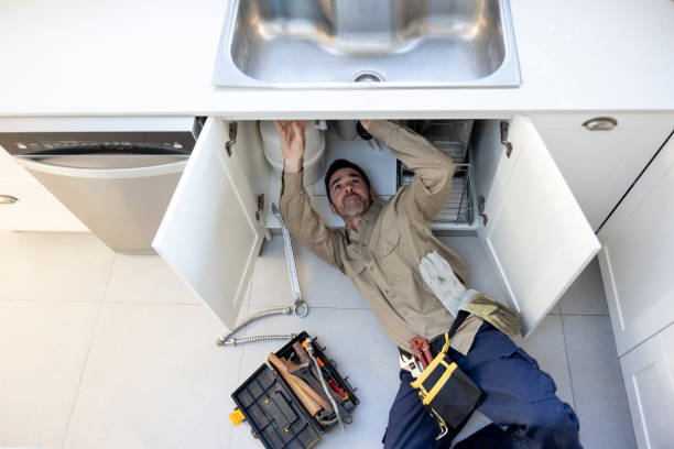 Best Plumbing Installation Services  in Almont, MI