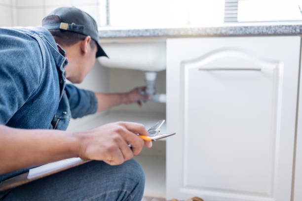 Best Commercial Plumbing Services  in Almont, MI